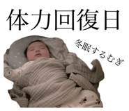 792755023