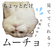 792755045