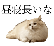 792755047