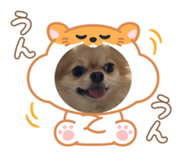792773756