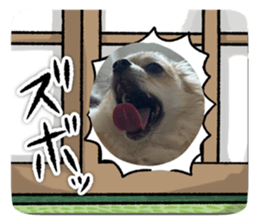 792773758