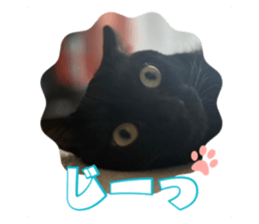 792774289