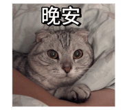 792778303