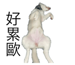 792786844