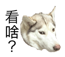 792786846