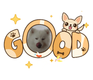 792788356