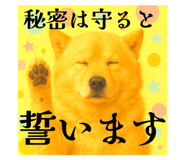 792800564