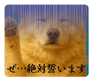792800567