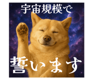 792800568