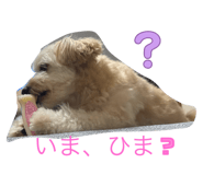 792806165