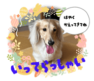 792812565