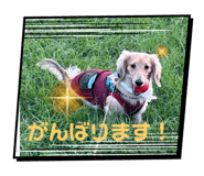 792812567