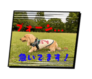 792812583