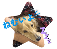 792812589