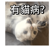 792825083