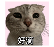 792825084