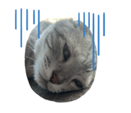 792825086