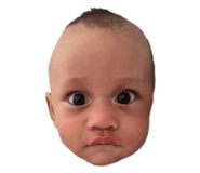 792826919