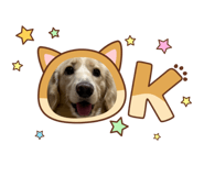 792834082