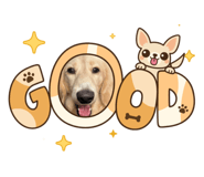 792834086
