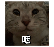 792837531