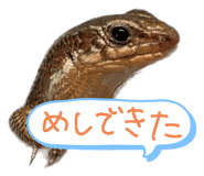 792840442