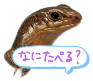 792840443