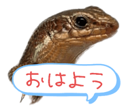 792840444