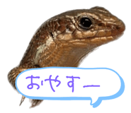 792840445