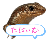 792840446
