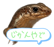 792840448