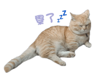 792857420