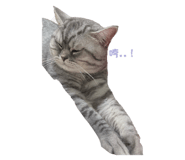 792857436