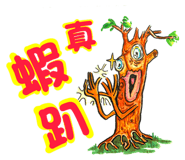 792863317