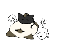 792866996