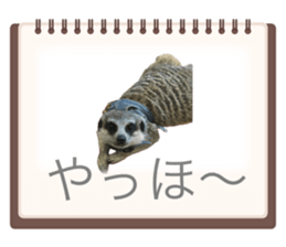 792871016