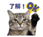 792874574