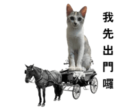 792879889