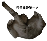 792879892