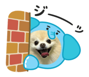 792881505
