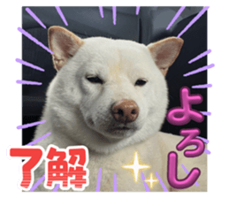 792892489