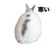 792893841