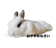 792893845