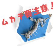 792897183