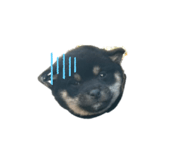 792898156