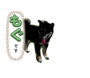 792898158