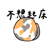 792900077