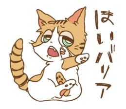 7929256