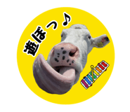 792932153