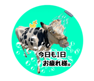 792932174